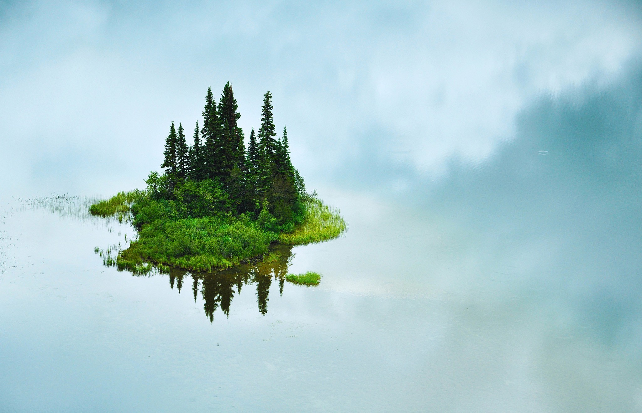 nature, Trees, Water, Grass, Island, Reflection, Clouds Wallpaper