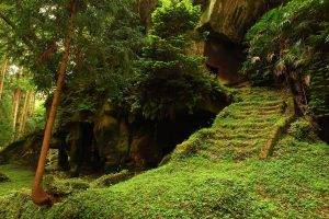 nature, Leaves, Trees, Forest, Rock, Stairs, Grass, Overgrown
