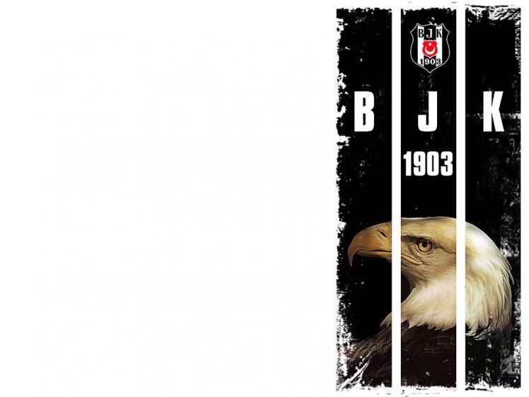 eagle, Besiktas J.K., Turkish, Soccer Clubs, Soccer HD Wallpaper Desktop Background