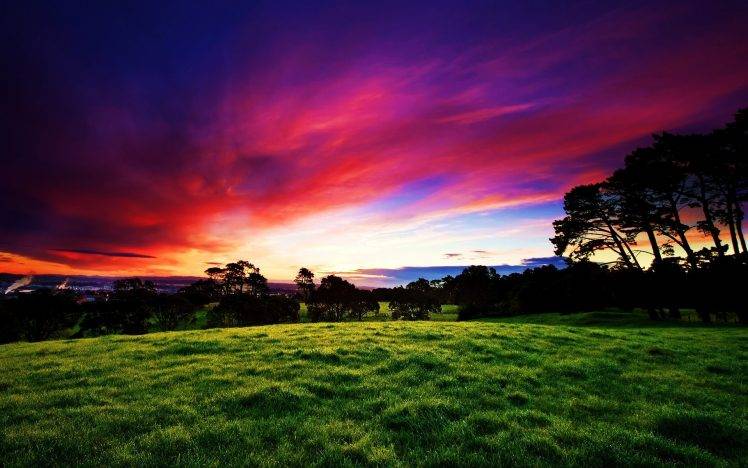 nature, Sunset, Field HD Wallpaper Desktop Background