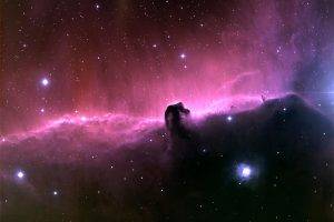 space, Horsehead Nebula, Nebula