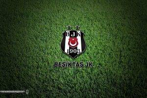 Besiktas J.K., Turkey, Soccer Pitches