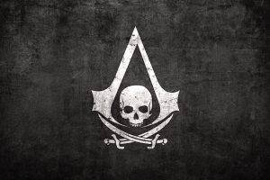 Assassins Creed: Black Flag, Video Games