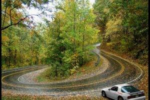hairpin Turns, Car, Fall, Trees, Road
