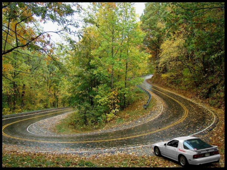 hairpin Turns, Car, Fall, Trees, Road HD Wallpaper Desktop Background