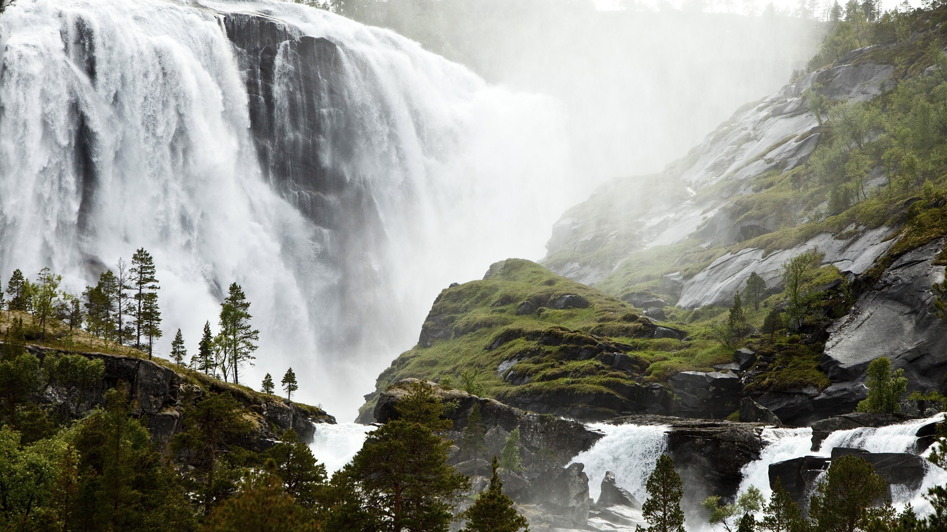 nature Wallpaper