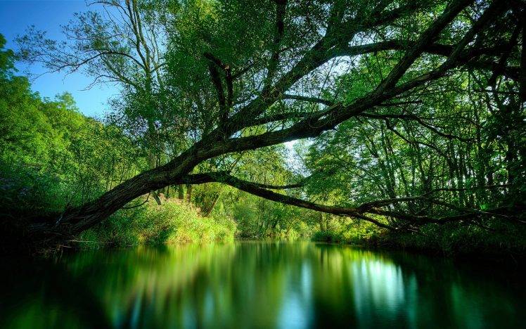 lake, Trees, River HD Wallpaper Desktop Background