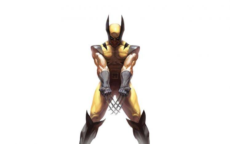 Wolverine, Marvel Comics HD Wallpaper Desktop Background