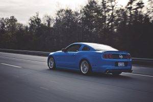 muscle Cars, Ford Mustang Shelby, Blue Cars, Car