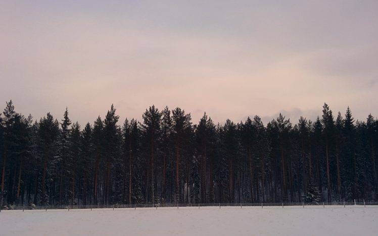 Sweden, Sundvall, Forest, Snow, Landscape HD Wallpaper Desktop Background