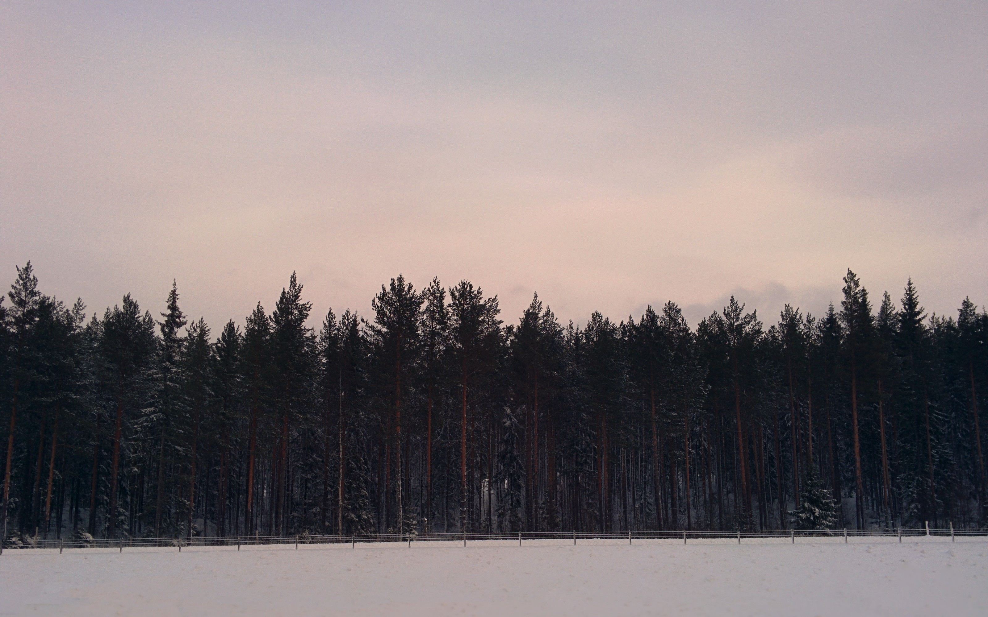 Sweden, Sundvall, Forest, Snow, Landscape Wallpaper