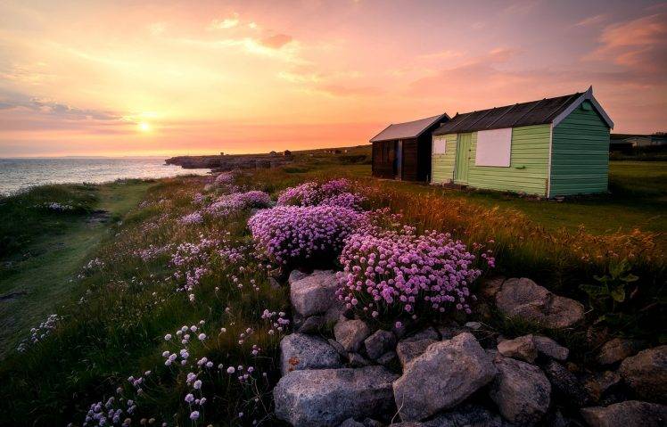 nature, Landscape, Sky, Clouds, Sunset, Sea, England, House, Rock, Flowers, Cliff HD Wallpaper Desktop Background