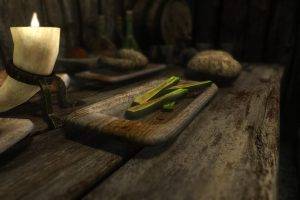 The Elder Scrolls V: Skyrim, Food, Video Games