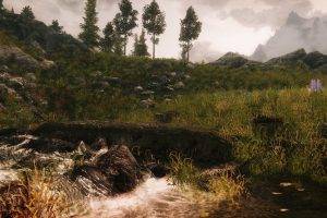 The Elder Scrolls V: Skyrim, Nature, Landscape, Grass