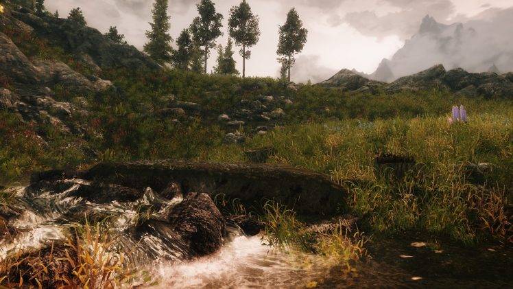 The Elder Scrolls V: Skyrim, Nature, Landscape, Grass HD Wallpaper Desktop Background