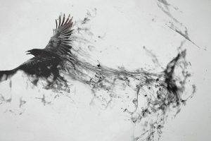 digital Art, Photo Manipulation, Monochrome, Birds, Animals, Raven