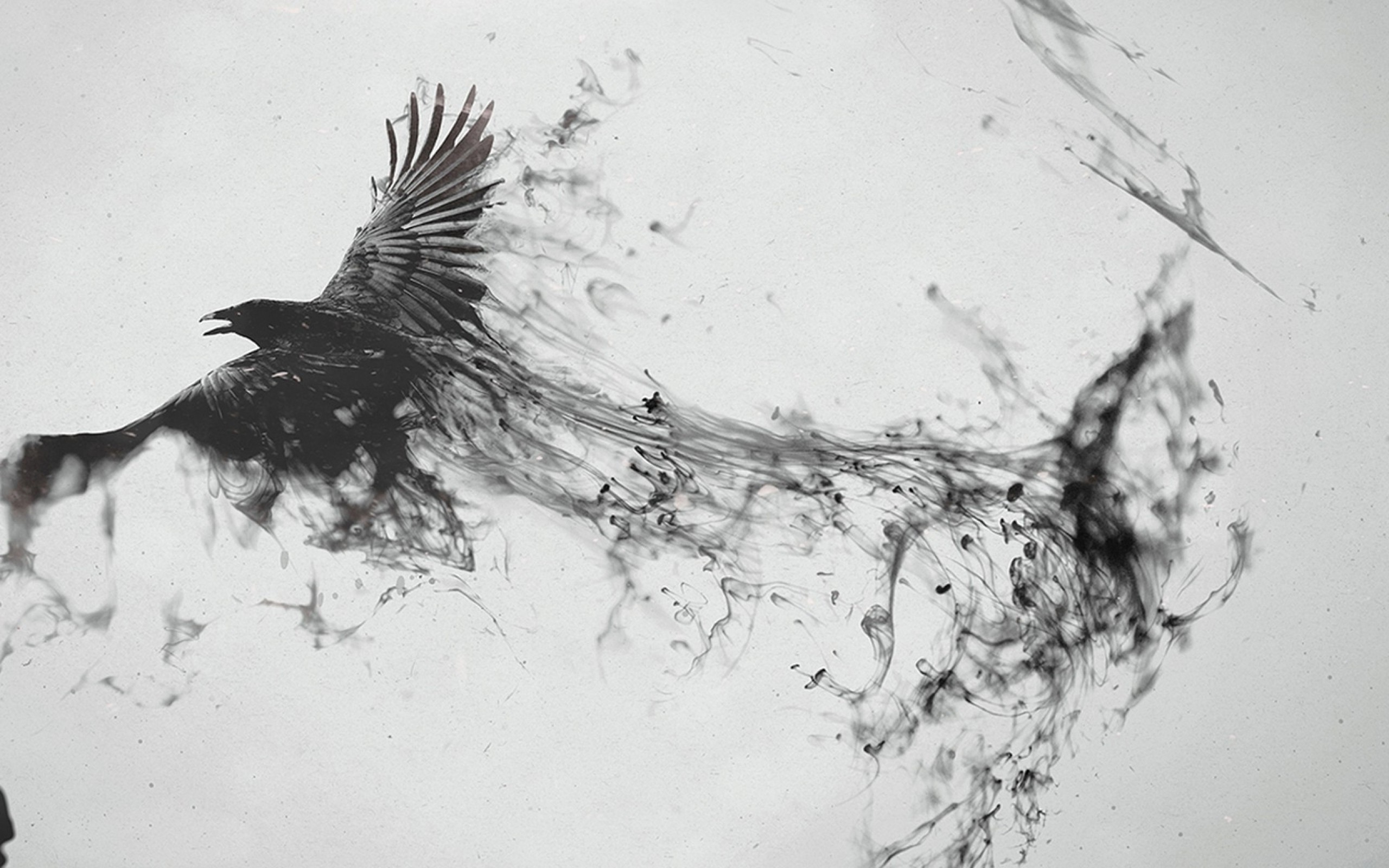 digital Art, Photo Manipulation, Monochrome, Birds, Animals, Raven Wallpaper