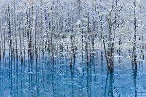 landscape, Nature, Snow, Trees, Reflection, Lake, Winter
