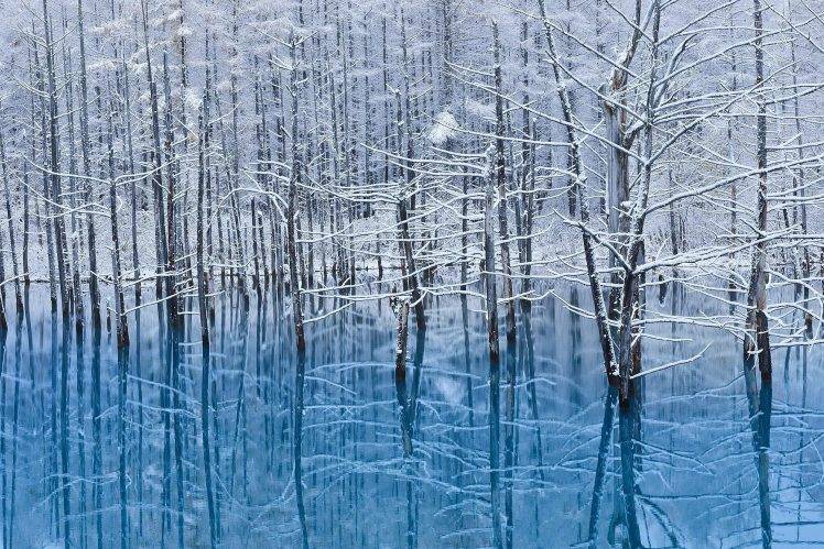 landscape, Nature, Snow, Trees, Reflection, Lake, Winter HD Wallpaper Desktop Background