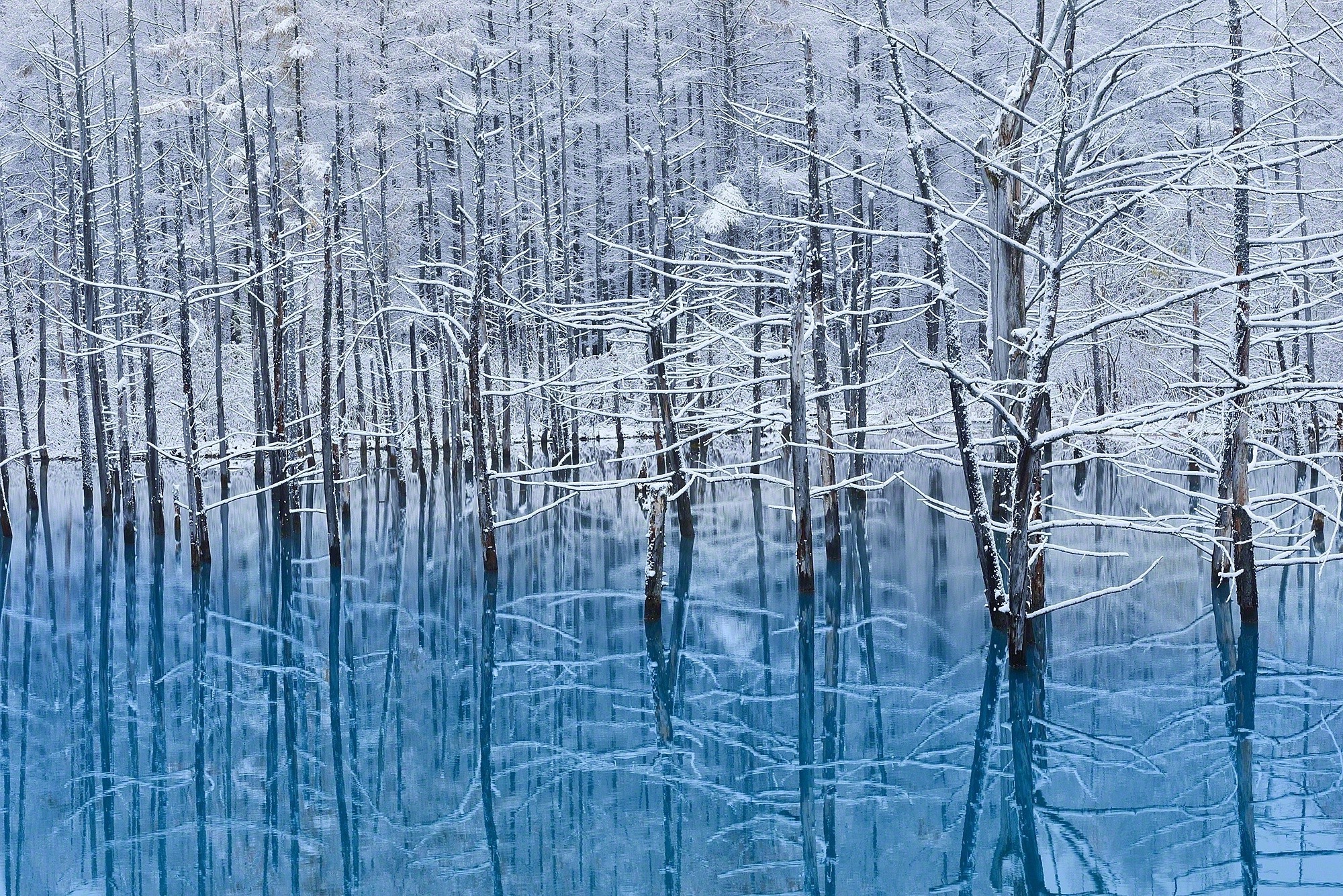 landscape, Nature, Snow, Trees, Reflection, Lake, Winter Wallpaper