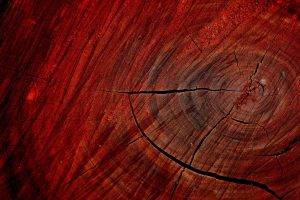 wood, Texture, Macro, Nature, Trees, Red