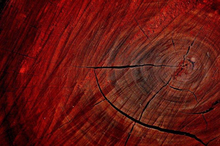 wood, Texture, Macro, Nature, Trees, Red HD Wallpaper Desktop Background
