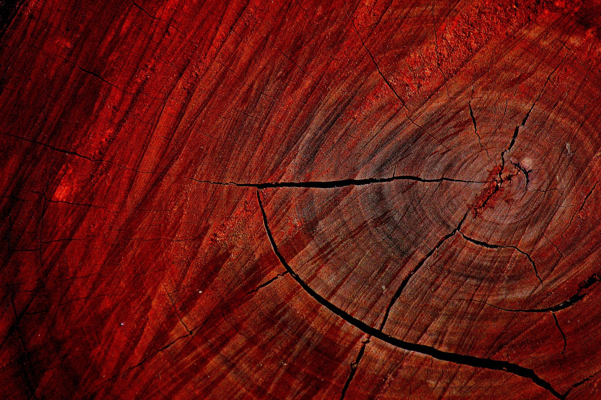 wood, Texture, Macro, Nature, Trees, Red Wallpaper