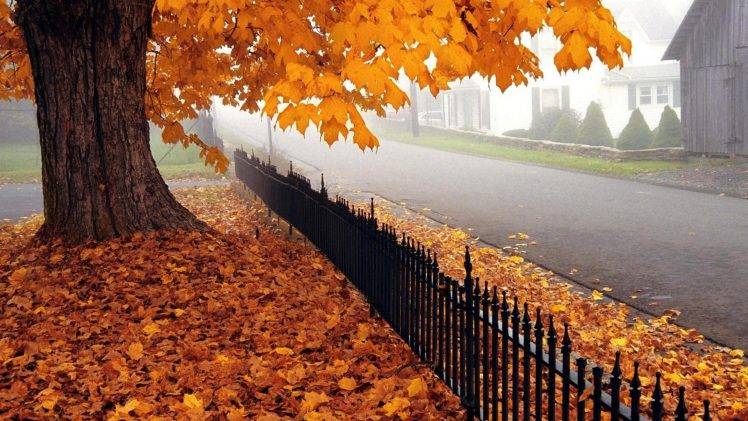 nature, Fall, Trees, Fence HD Wallpaper Desktop Background