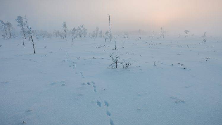 Finland, Winter, Landscape HD Wallpaper Desktop Background