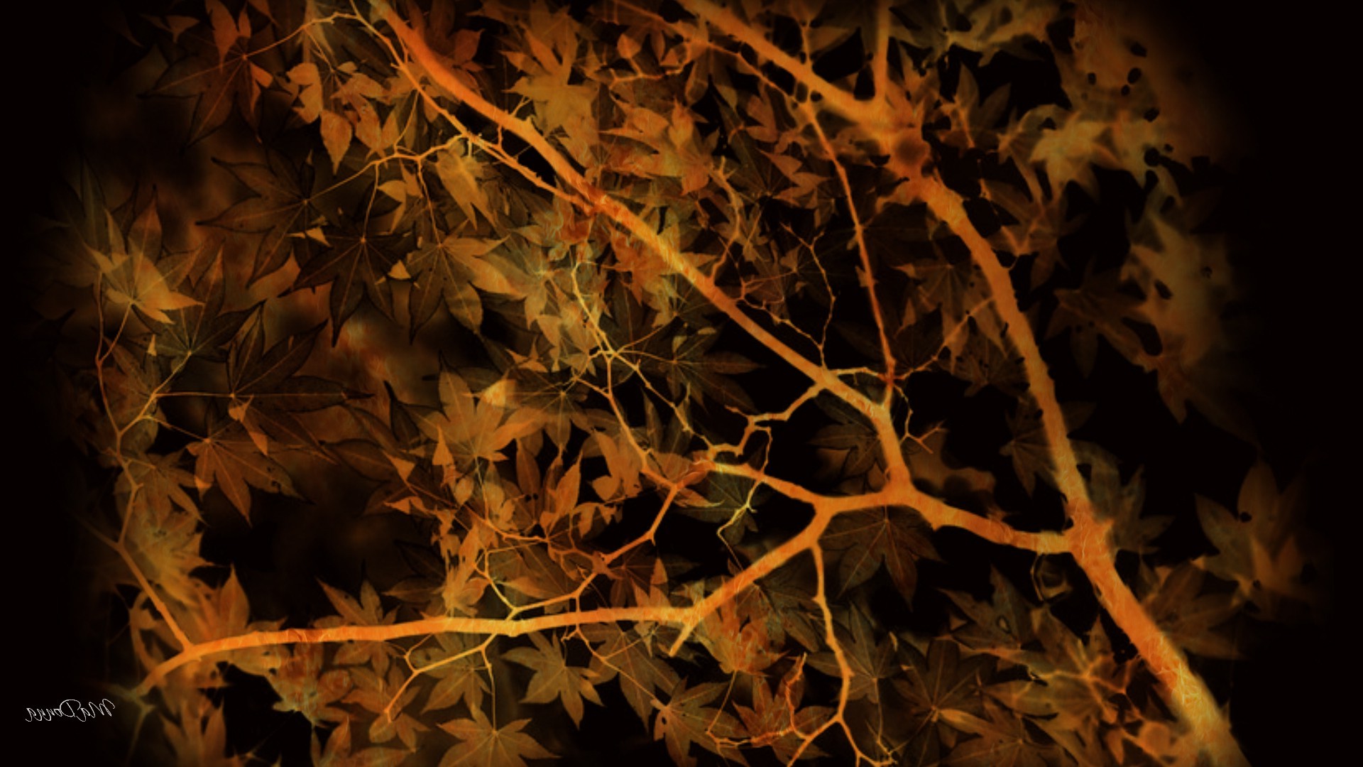leaves, Trees, Fall, Abstract Wallpaper