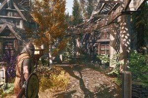 The Elder Scrolls V: Skyrim, Nature, Town, Game Mod