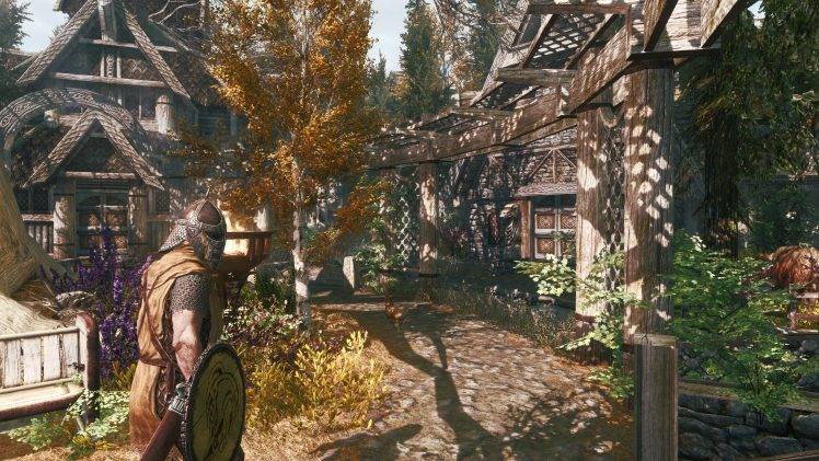 The Elder Scrolls V: Skyrim, Nature, Town, Game Mod HD Wallpaper Desktop Background