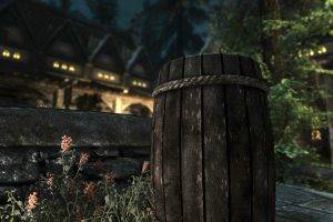 The Elder Scrolls V: Skyrim, Nature, Town