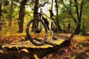 bicycle, Nature