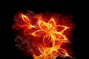 abstract, Fire, Flowers