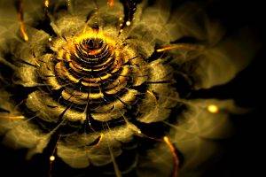 abstract, Fractal Flowers