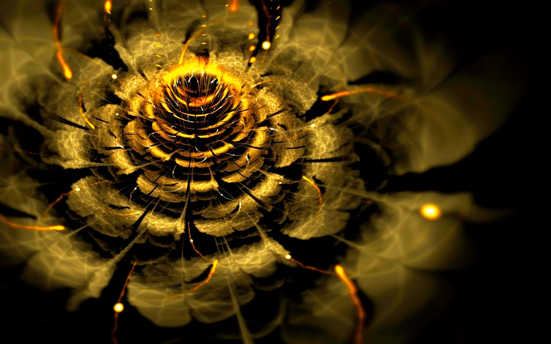 abstract, Fractal Flowers Wallpaper