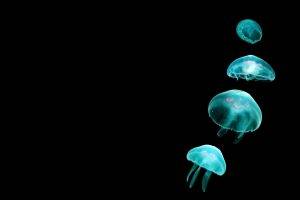 jellyfish, Black Background, Glowing, Animals, Simple