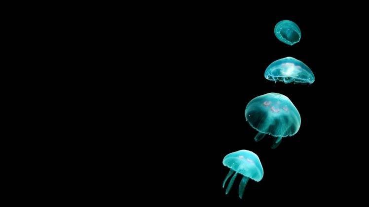 jellyfish, Black Background, Glowing, Animals, Simple HD Wallpaper Desktop Background