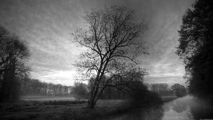 monochrome, Nature, Landscape, Trees, River, Mist, Sky, Overcast, Watermarked HD Wallpaper Desktop Background