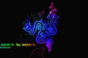 Razer, Video Games, PC Gaming, Simple Background, Simple