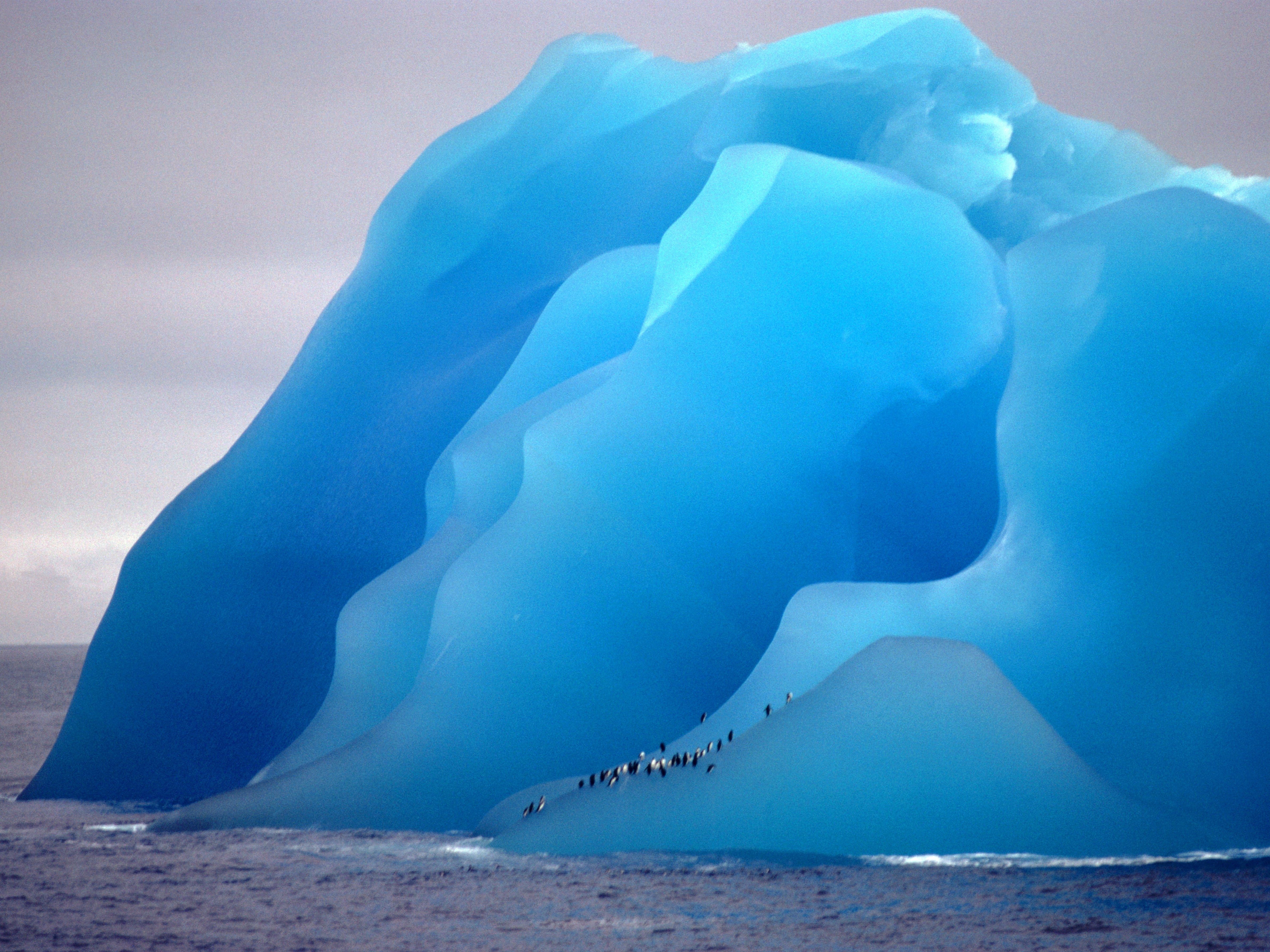 iceberg, Ice, Nature, Animals Wallpaper
