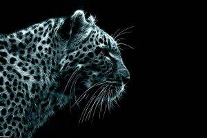 Fractalius, Leopard, Black Background, Animals, Digital Art