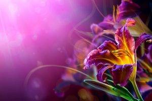 flowers, Lilies, Bokeh, Purple Background