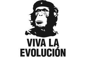 humor, White Background, Che Guevara, Simple, Chimpanzees, Evolution