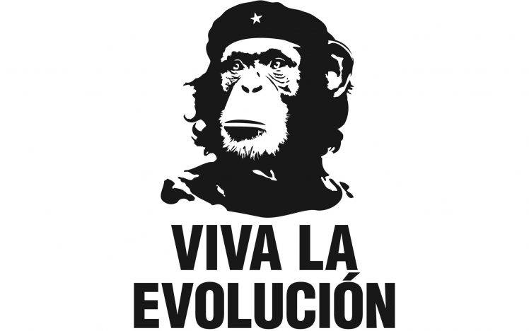 humor, White Background, Che Guevara, Simple, Chimpanzees, Evolution HD Wallpaper Desktop Background