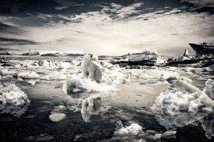 polar Bears, Photo Manipulation, Nature, Landscape, Ice, Reflection