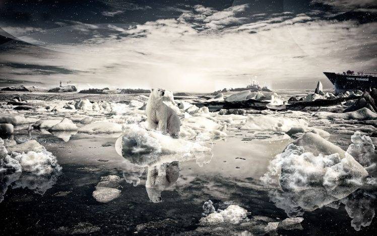 polar Bears, Photo Manipulation, Nature, Landscape, Ice, Reflection HD Wallpaper Desktop Background