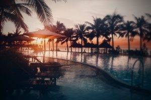 nature, Swimming Pool, Sunset, Palm Trees, Sunlight