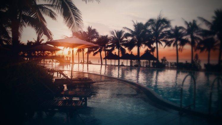 nature, Swimming Pool, Sunset, Palm Trees, Sunlight HD Wallpaper Desktop Background